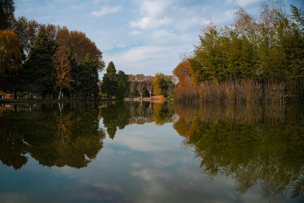 Hoe kun je je suikerspiegel stabiliseren om gewichtsverlies te bevorderen?