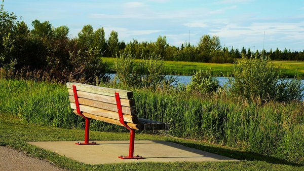 Hoe kunnen senioren hun veerkracht verbeteren na een ingrijpende gebeurtenis?